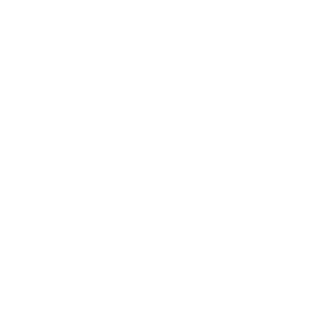 Logo Flyte